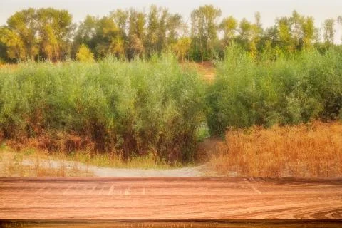 Empty wooden table with summer background of riverside at sunset for display  Stock Photos