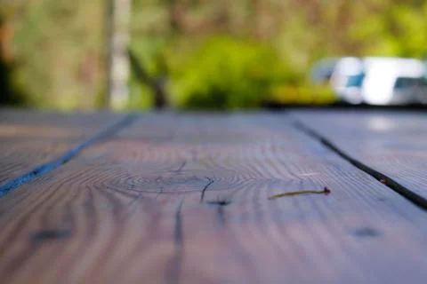 Empty wooden table surface with blurred green garden background 库存照片