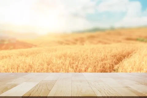 Empty wooden table top with lights bokeh on blur beuatiful rice field Stock Photos