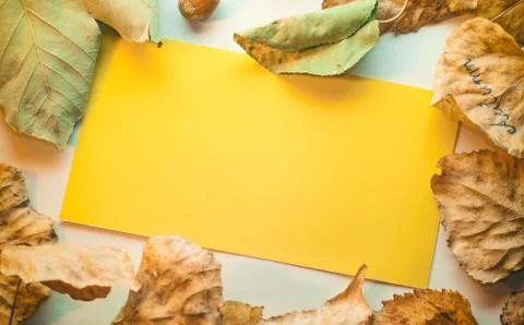 Empty yellow card Stock Photos