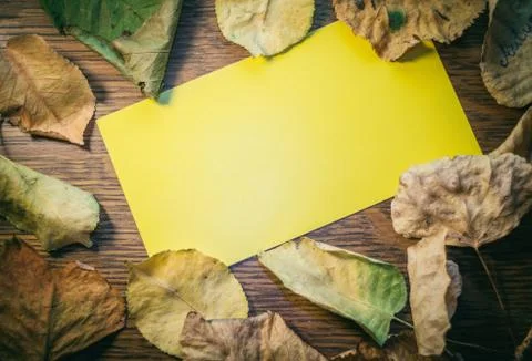 Empty yellow card Stock Photos