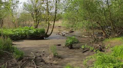 Empty_kreek 스톡 동영상 49159109