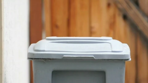 Emptying the Garbage Stock Footage 453623
