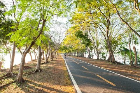 Emthy road in park Foto stock
