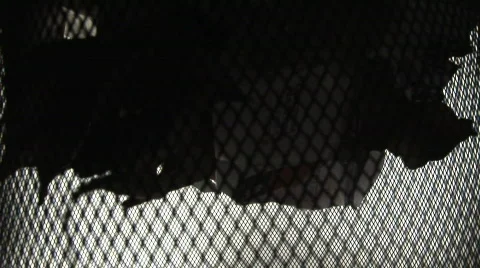 Emty trash Stock Footage 474267