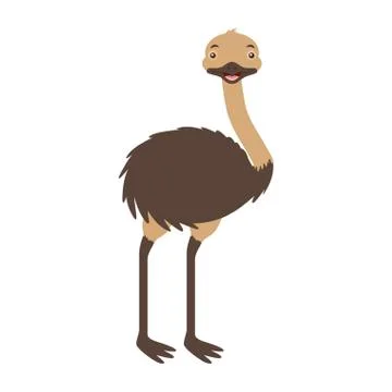 Emu australian fauna on withe background Stock-Illustration