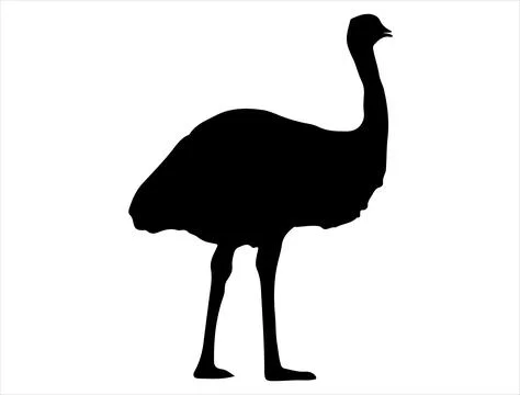 Emu silhouette vector art Stock Illustration