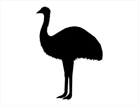 Emu silhouette vector art Stock Illustration