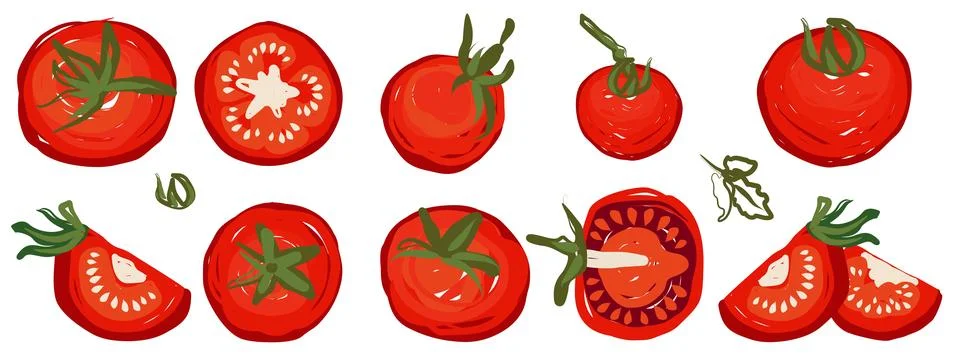 En artistic vector set of fresh red tomatoes whole and sliced fruit Stock Illustration