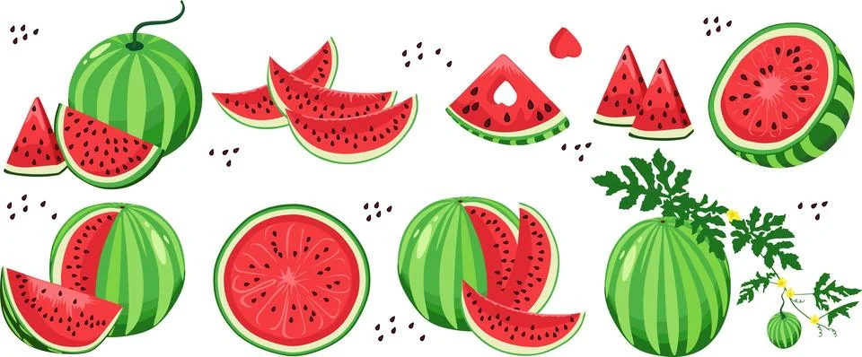 En large vector set of ripe watermelons with whole fruits and various slices Stock Illustration