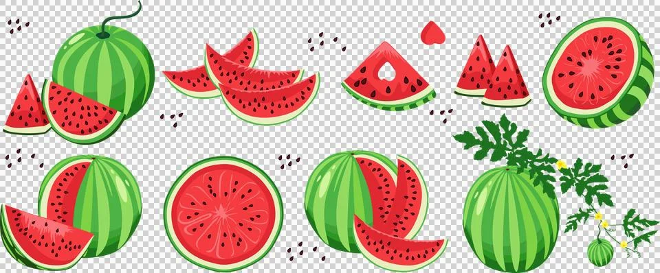 En large vector set of ripe watermelons with whole fruits and various slices Stock Illustration