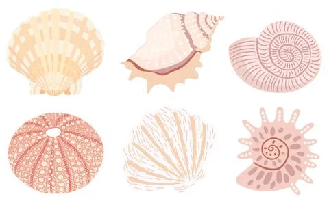 En tender vector collection of sea shells and sea urchin in pastel colors Stock Illustration