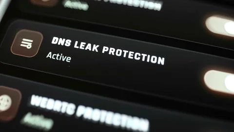 Enabled DNS leak protection control beside website protection settings Stock Photos