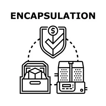 Encapsulation process securing data technology concept Stockillustratie