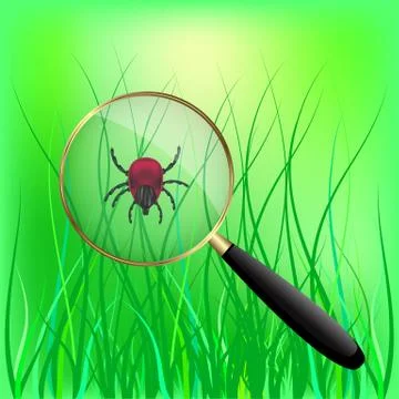 Encephalitis mite on the grass. vector illustration. Illustrazione stock
