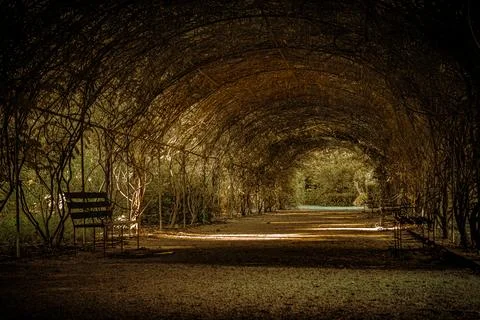 Enchanted Arbor Passage Stock Photos