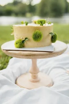 Enchanted Cake on Grassy Stand Foto stock