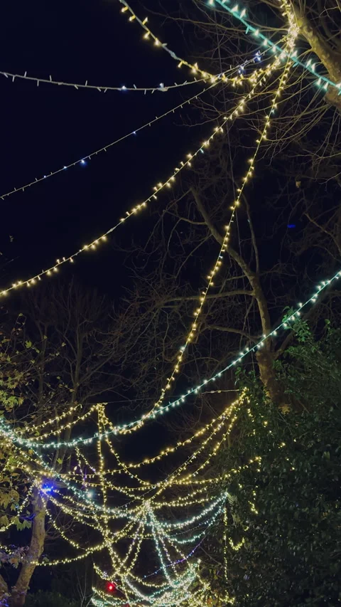 Enchanted Canopy: A Symphony of Lights Stock Footage 266907044