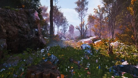 Enchanted Dawn Forest Stock Footage 321466564