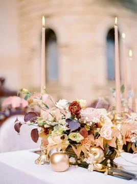 Enchanted Elegance Stock Photos