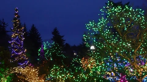 Enchanted Evening with Festive Christmas Tree Lights Stock Footage 263930574