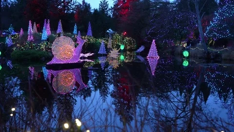 Enchanted Evening Lights Reflection on Water in a Garden Stock Footage 263929333