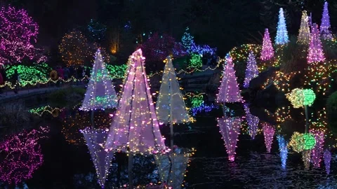 Enchanted Evening Lights Reflection in Water Scenery Stock Footage 263929461