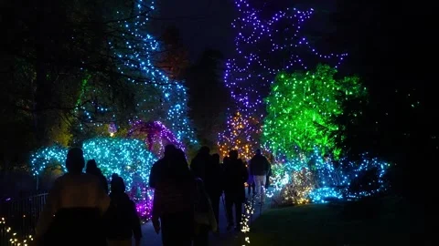 Enchanted Evening Walk Through Illuminated Garden Lights Stock Footage 263929352