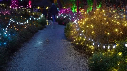 Enchanted Evening Walk Through Illuminated Garden Path Stock Footage 263930767