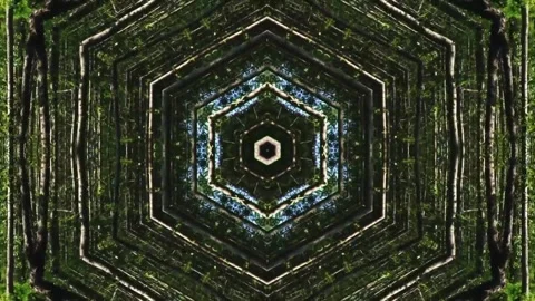 Enchanted Forest Background Animation – Magical Woodland Scene Video stock 307438679