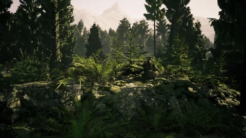Enchanted forest bathed in twilight with mountain silhouette Stock Footage 341587393