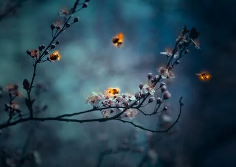 Enchanted forest evening with cherry blossoms and magic glowing bees flying Stock Photos