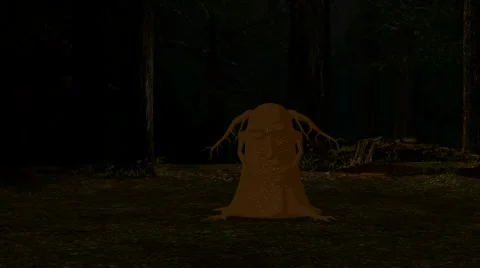 Enchanted Forest Stock Footage 5873845