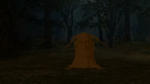 Enchanted Forest Stock Footage 5874611