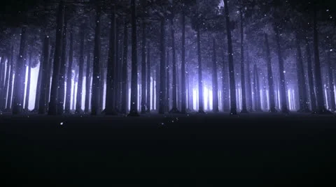 Enchanted forest Stock Footage 24845916