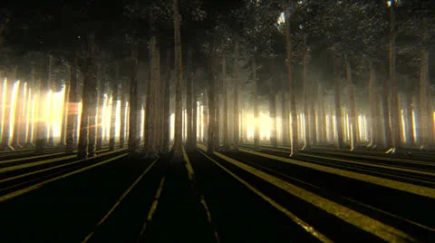 Enchanted forest Stock Footage 25299171