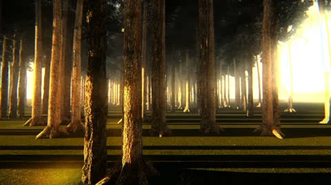 Enchanted forest Stock Footage 25300344