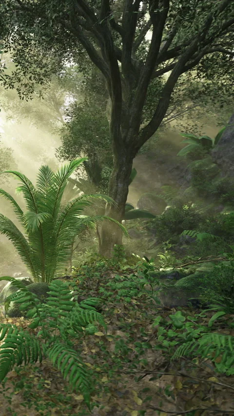 Enchanted forest glimmers with morning light and vibrant greenery Stock Footage 331811056