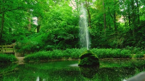 Enchanted Forest Lake: 4K Serene Oasis with a Captivating Fountain Stock Footage 248596758