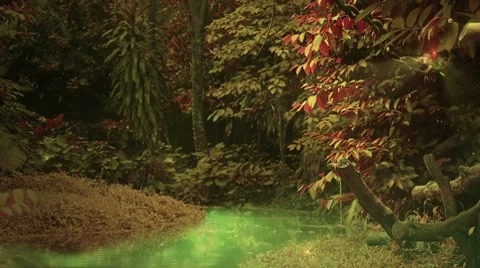 Enchanted forest loop Stock Footage