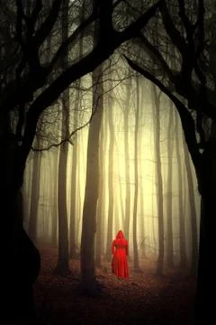 Enchanted forest Stock Photos