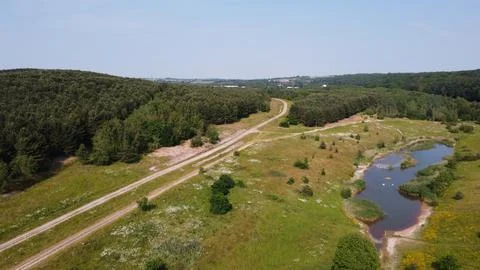 Enchanted Forest 库存照片