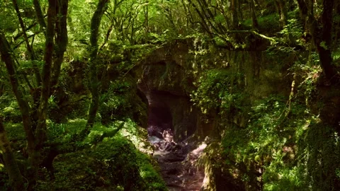 Enchanted Forest River and Stone Bridge Stock Footage 332449775