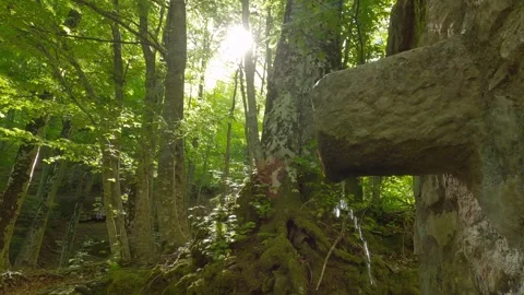 Enchanted Forest Scene with Old Stone Spring - Italy Stockbeeldmateriaal 333458411
