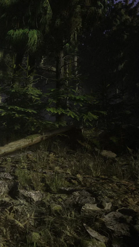 Enchanted forest scene with whispering trees bathed in moonlight glow Stock Footage 334253920