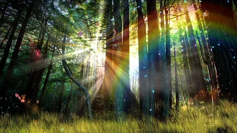 Enchanted forest at sunrise with a rainbow. 動画素材 106445900