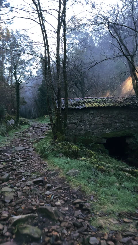 Enchanted Forest Trail: Stone Cottage Retreat Stock Footage 269038814
