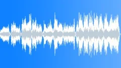 Enchanted Forest Walk (3 Min) Stock Music