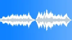 Enchanted Forest Walk (30 sec) Stock Music