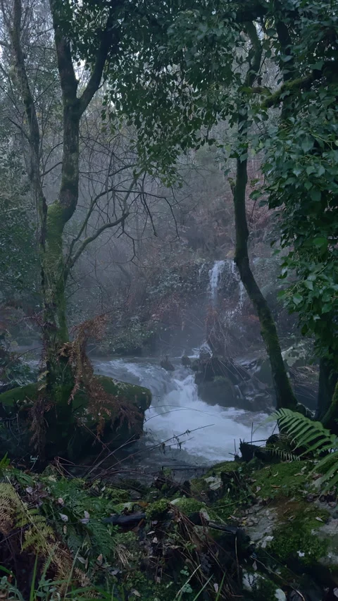 Enchanted Forest Waterfall - The Serene Flow of Nature Stock Footage 266909374